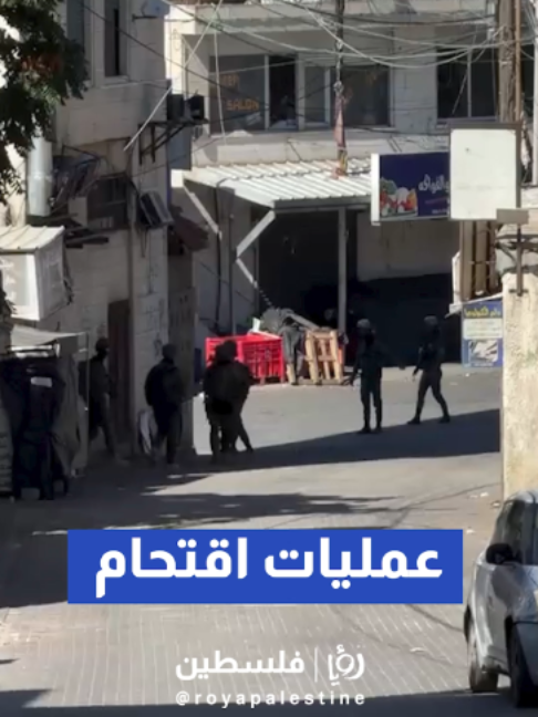 @Royapalestine رؤيا فلسطين