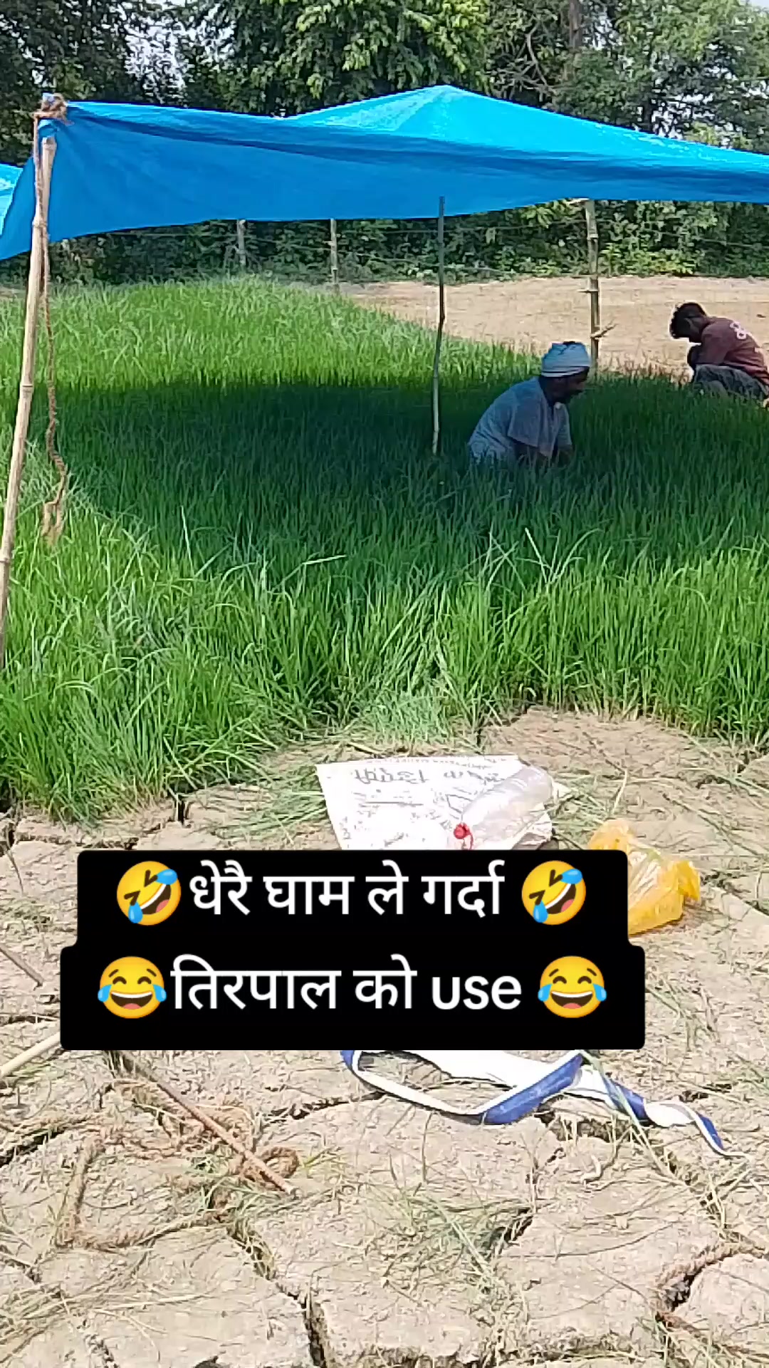 @👑☠️꧁༒☠तेलीवंशी☠︎༒꧂☠️👑