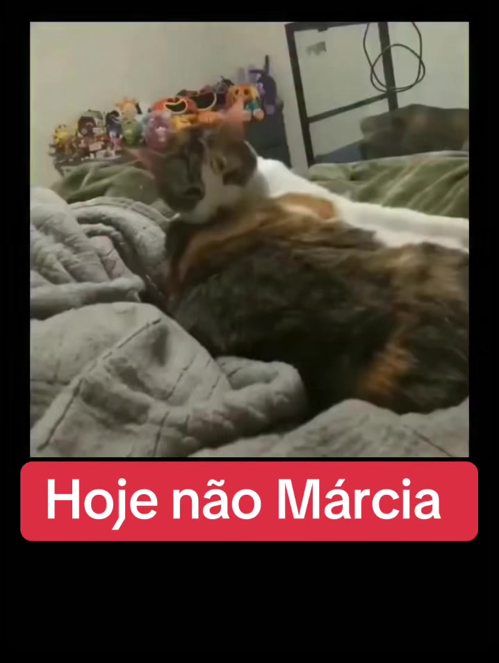 @Lusitonio Machado Do