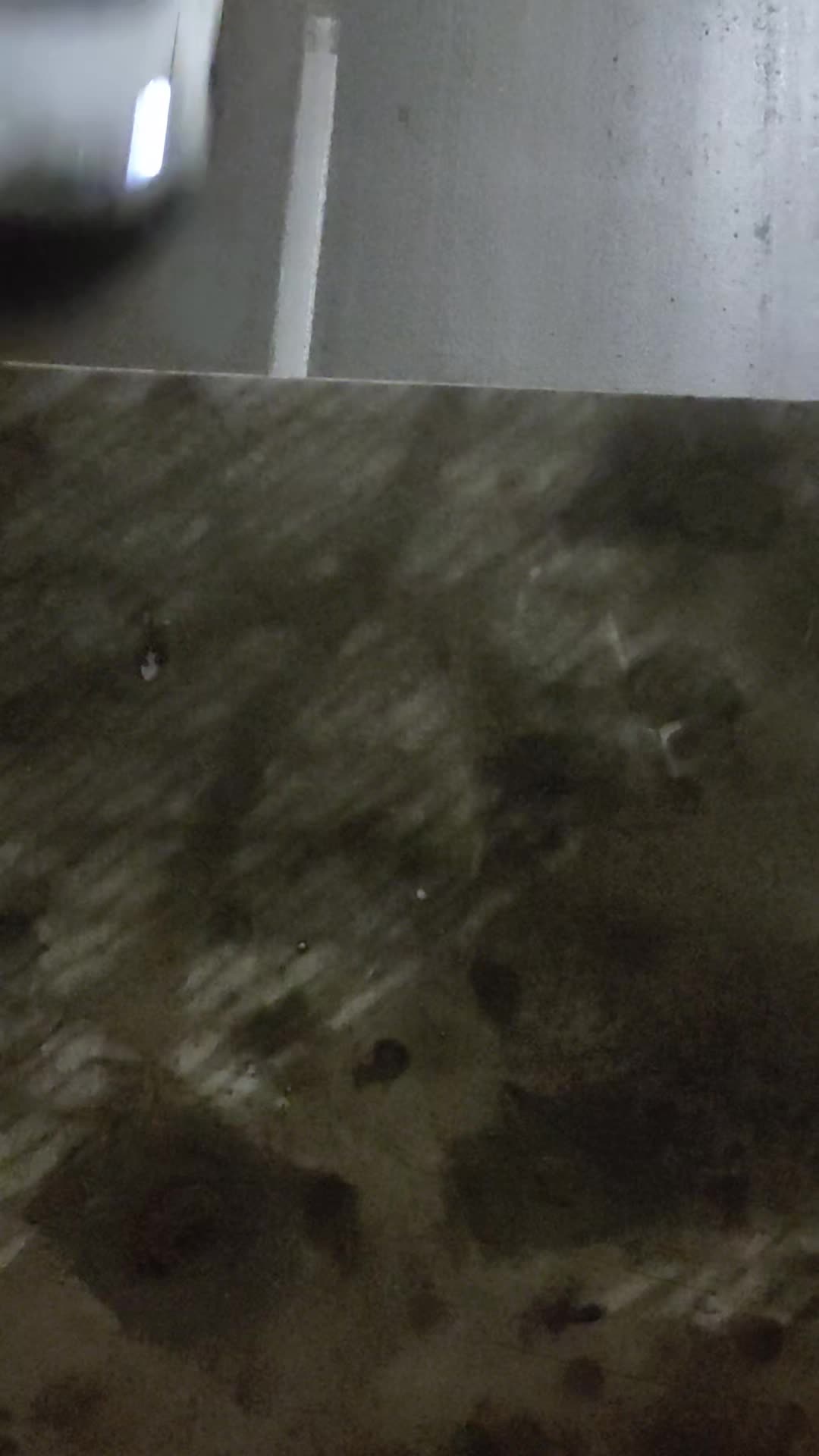 @𝕄𝕠𝕙𝕒𝕞𝕞𝕖𝕕_42_