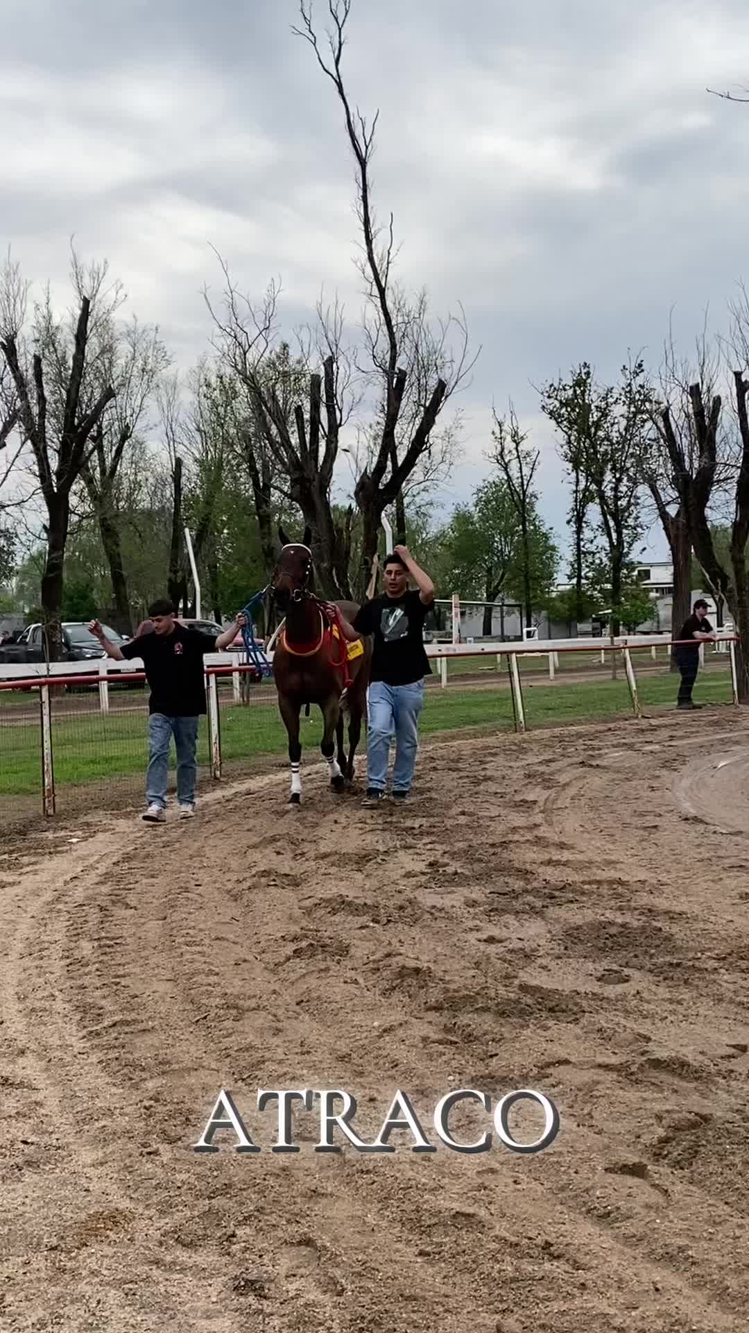 @Sofii Brito🏇🏽