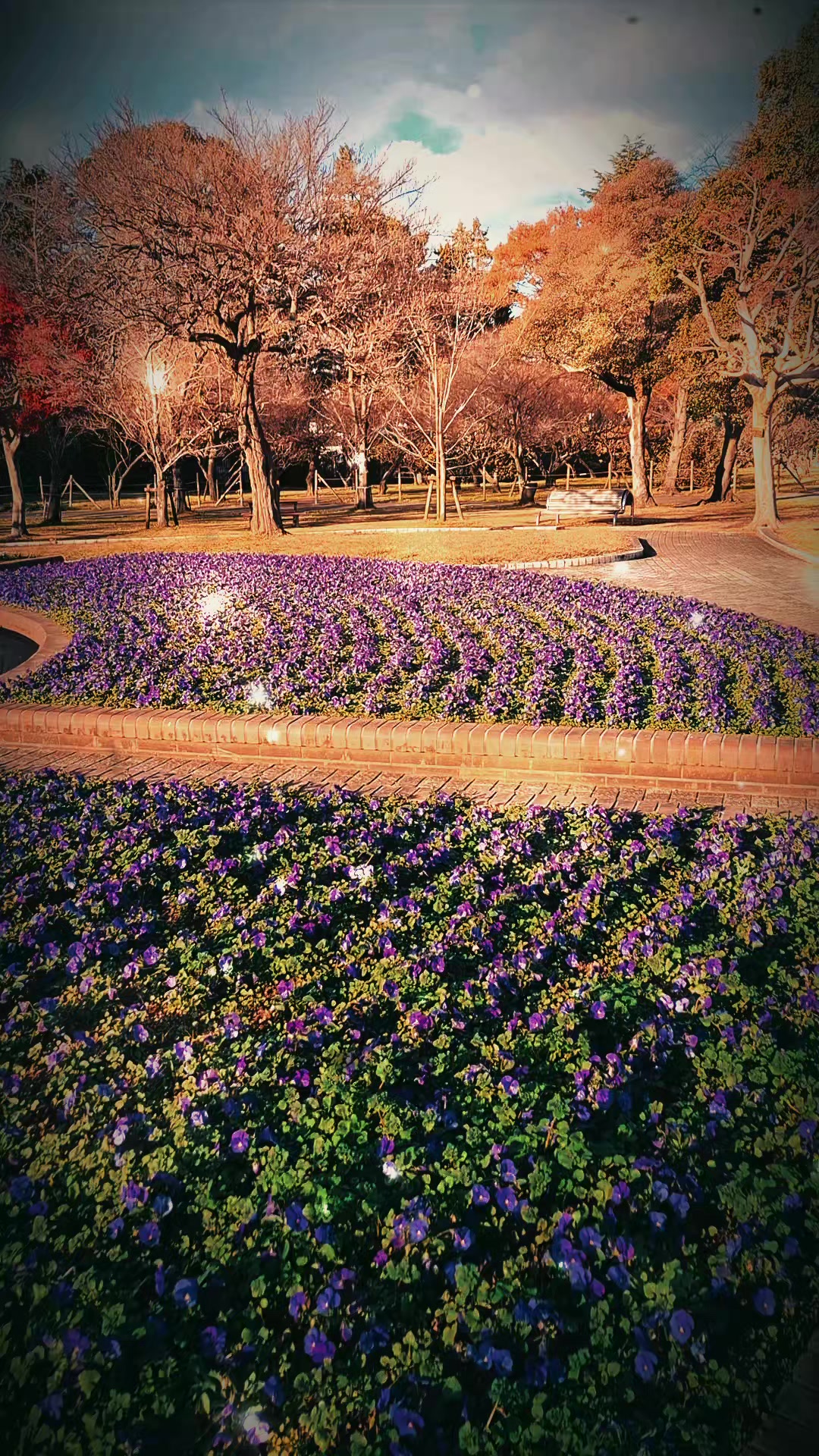 @kazuhiro sato