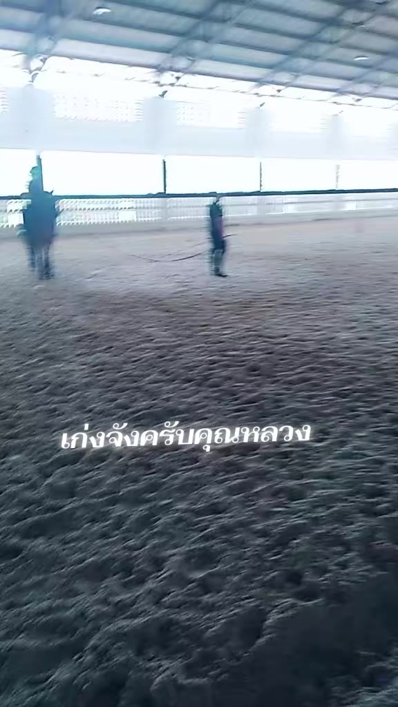 @pimphan