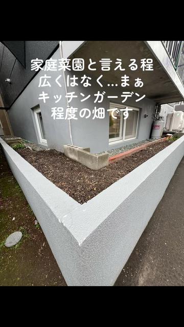 @ケムまる🍎🧄🍮