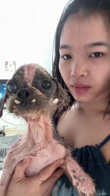 @desiria.drm