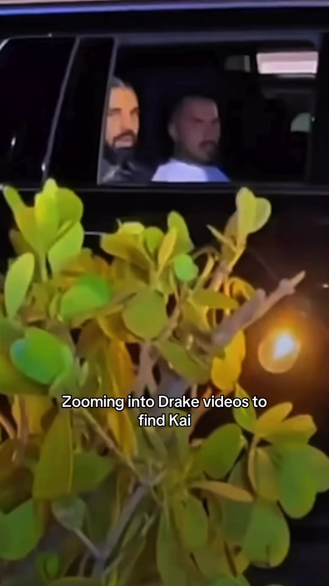 @Kai Fan
