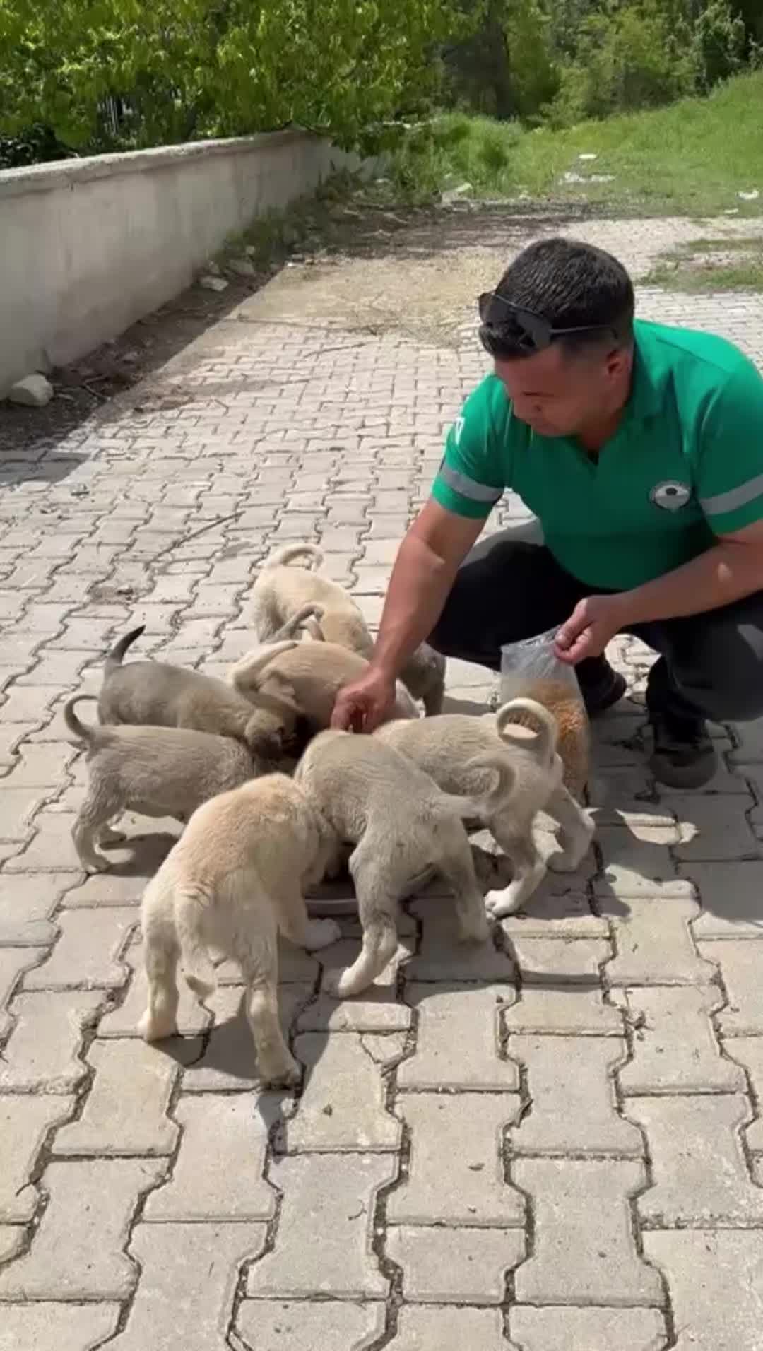 @𝐇𝐚𝐥𝐢𝐥 𝟑𝟑