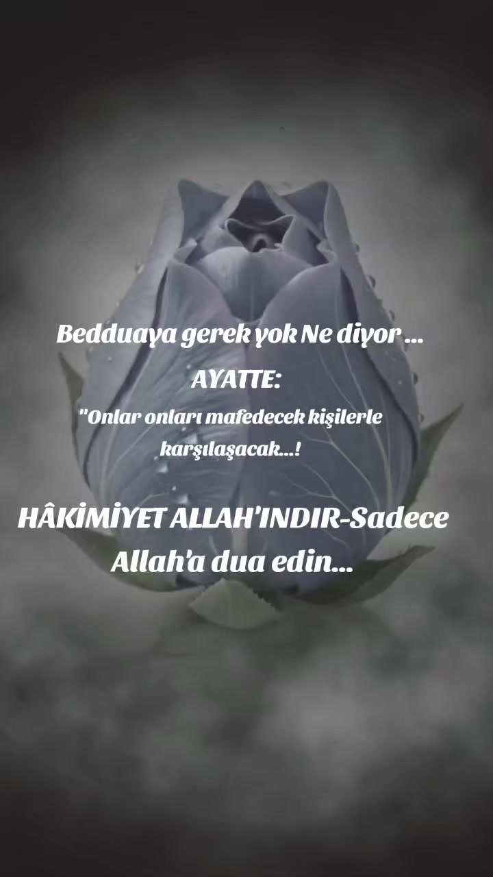 @aynur Kocakaya 280.🤲