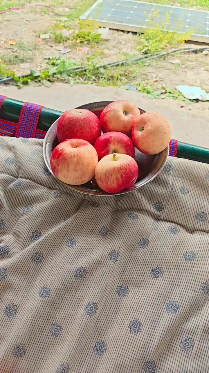 @hazratkhan4453