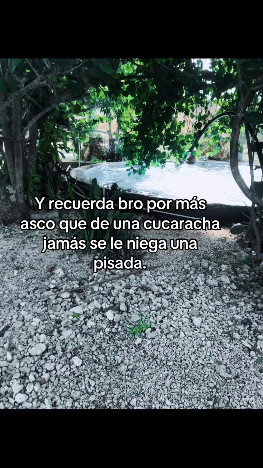 @𝓑𝓲𝓯𝓸 