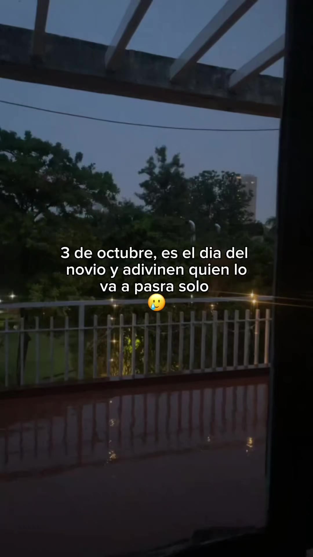 @꧁🧸✨️Tus Frases✨🧸꧂