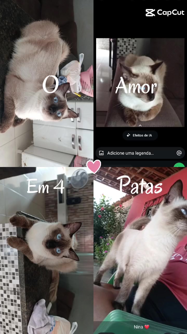 @eu..preta