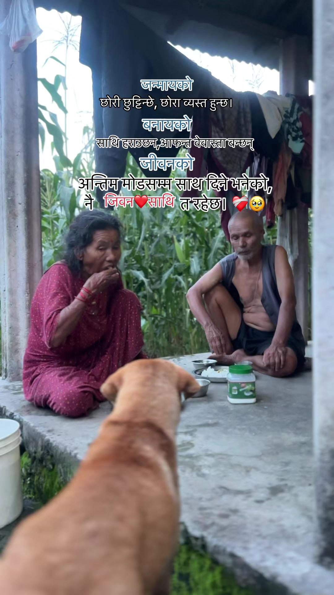 @Aashik Sapkota