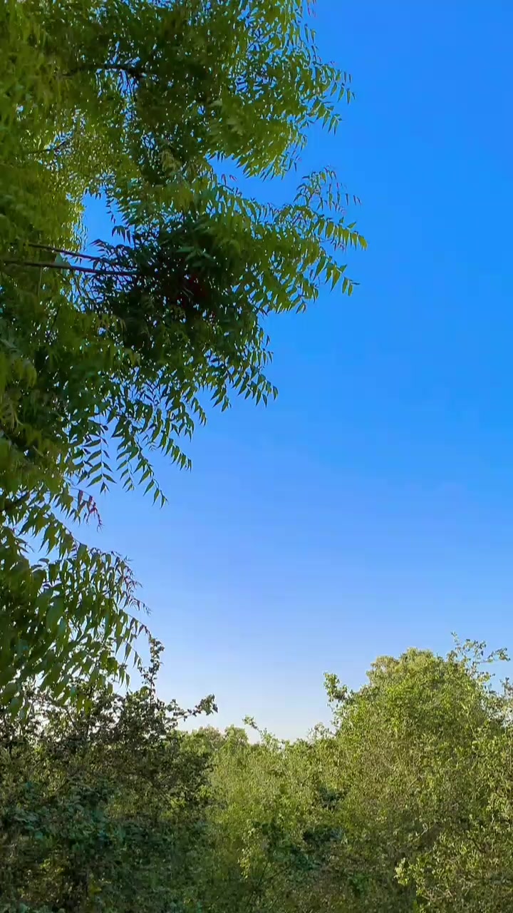 @ÛżۍŘ_Bäلōچħ010