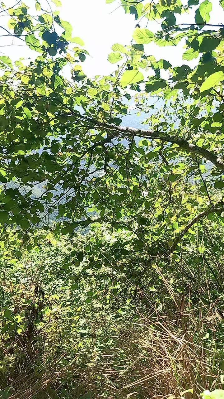 @Kübra