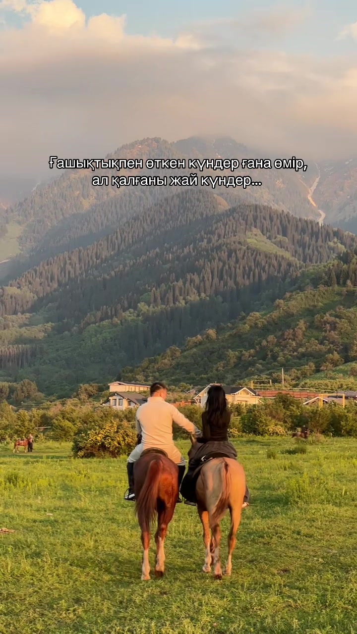 @akshatau_horses