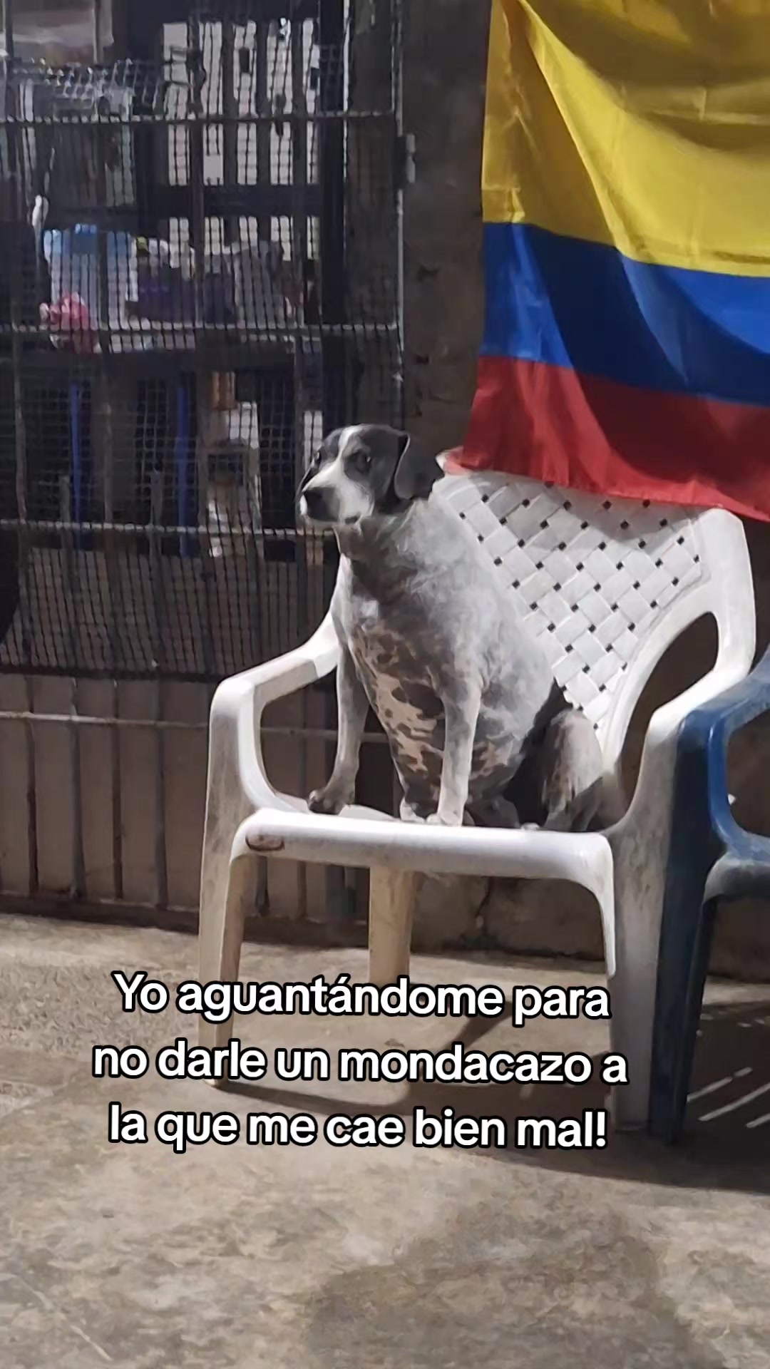 @MANCHAS 0714 OFICIAL