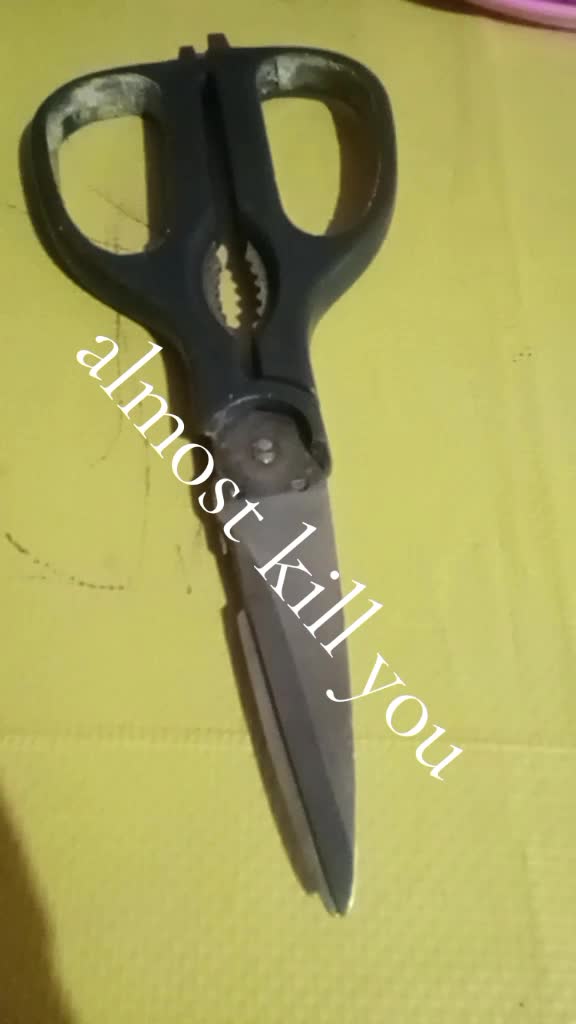 @Notification