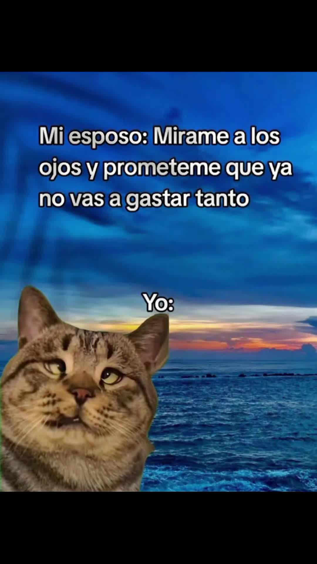 @Viviana🥰Grace
