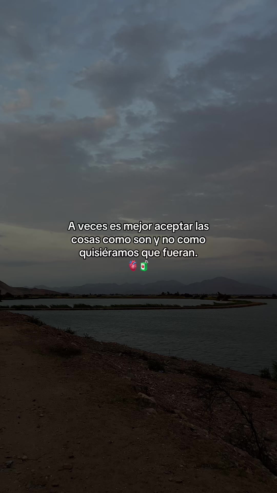 @Gatocix 🐱