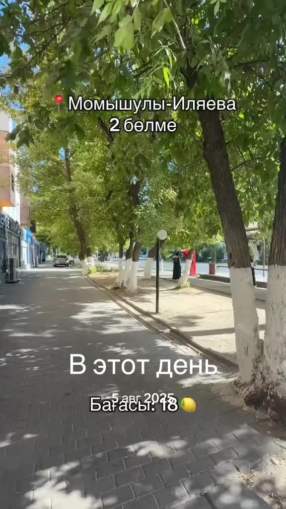 @baspanaly_bol_shym