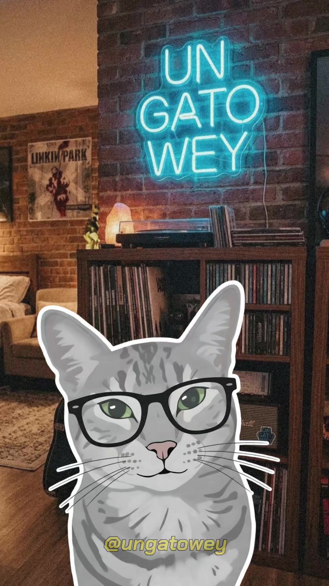 @UN GATO WEY