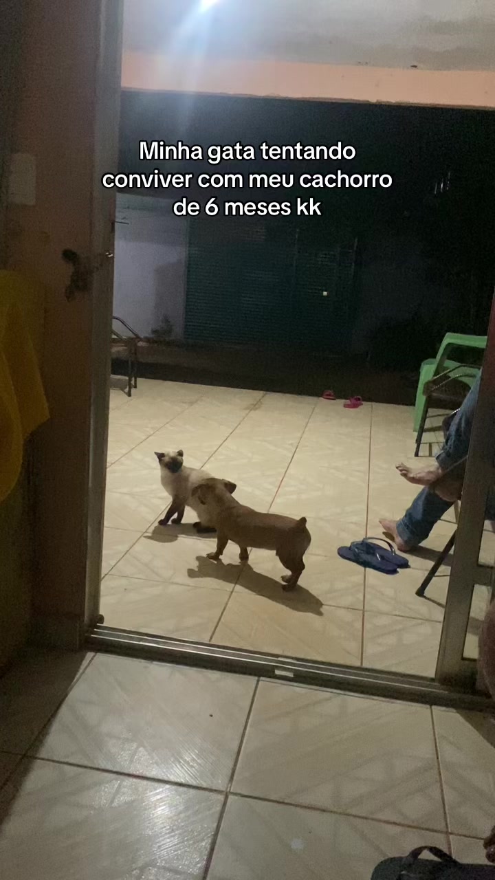 @Wᥱᥣιkᥲ ⋆ 𐙚 ̊.