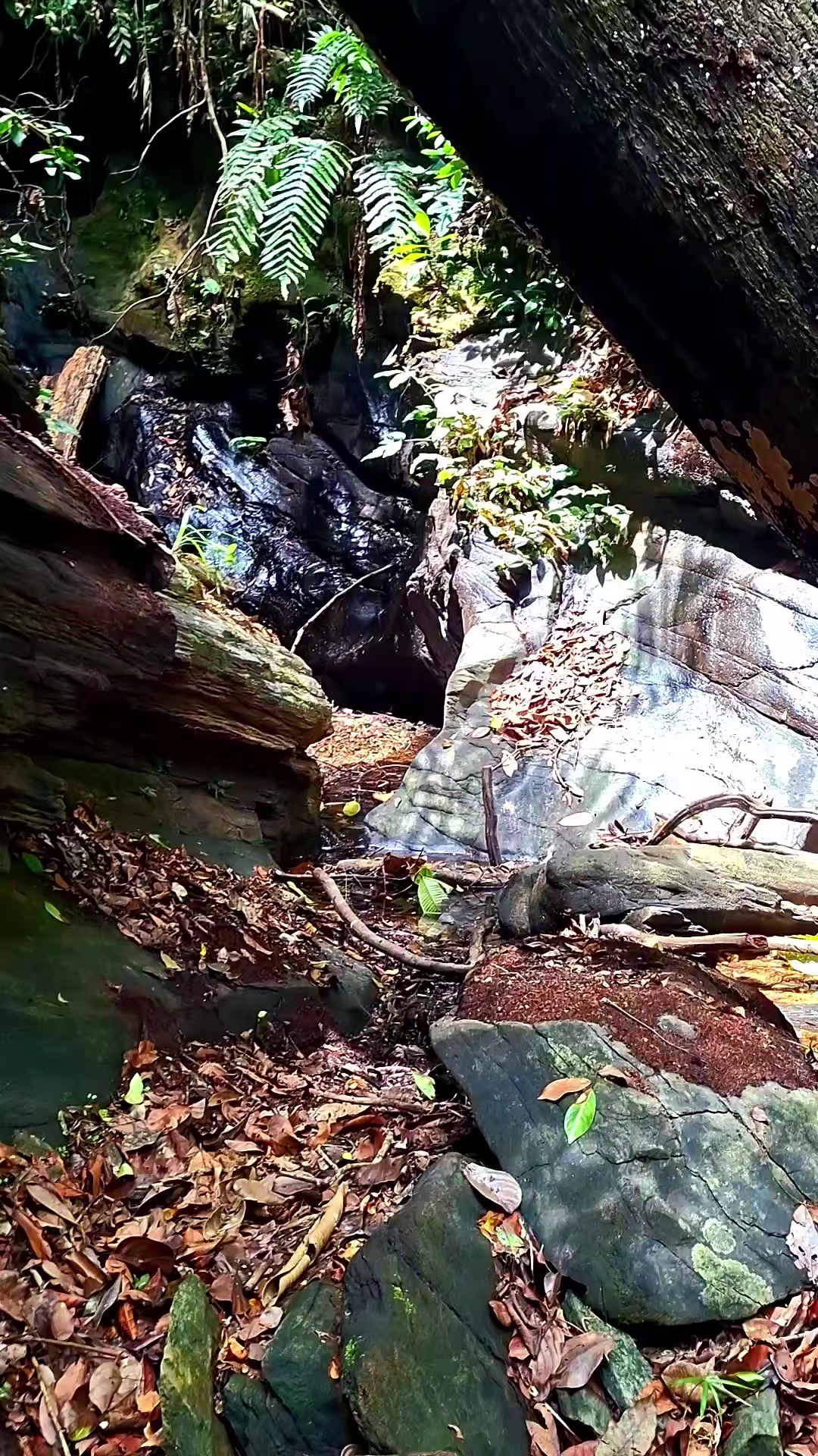 @HikeLife Adventures