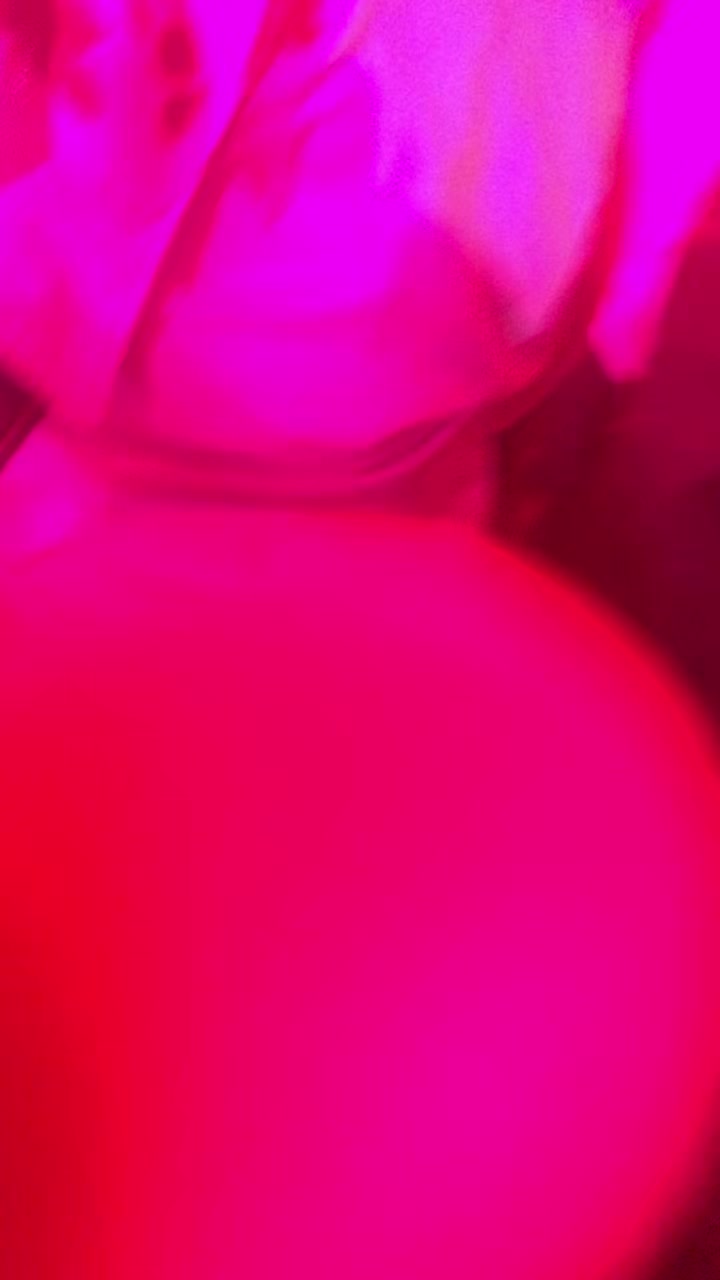 @melissangoi2