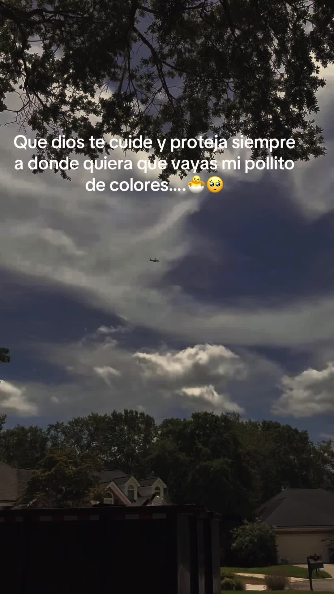 @🐼