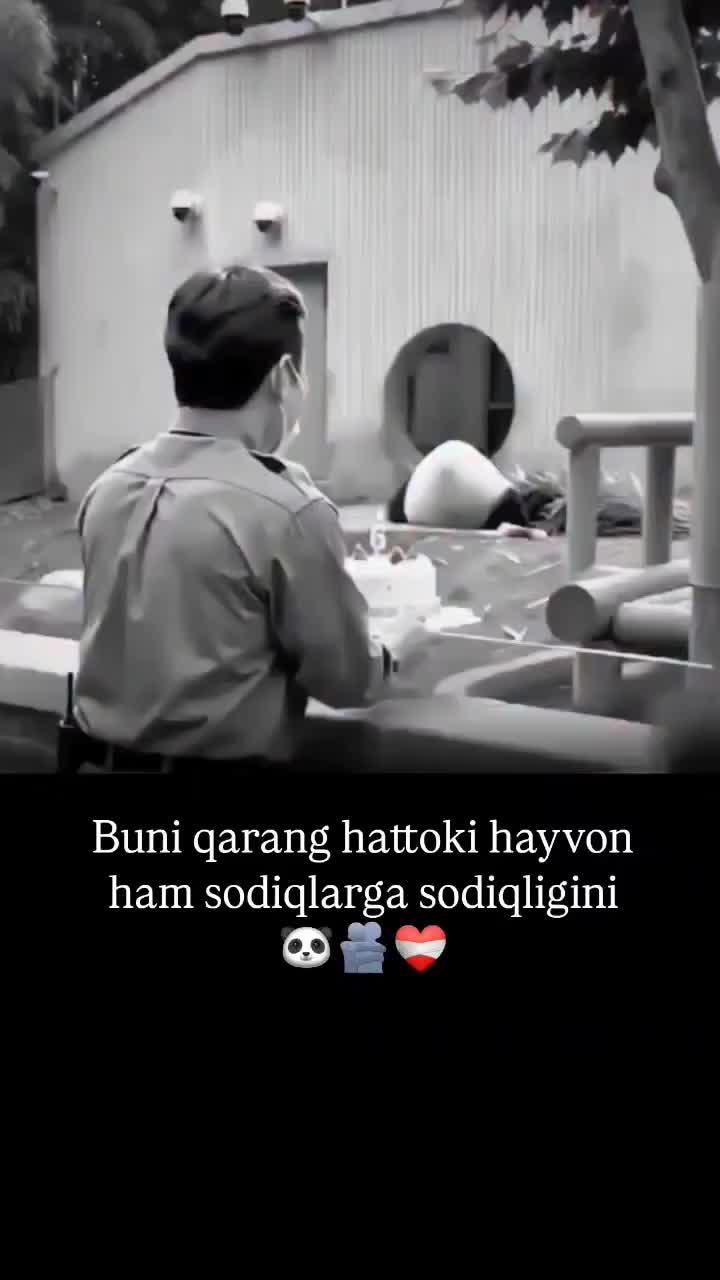 @telav