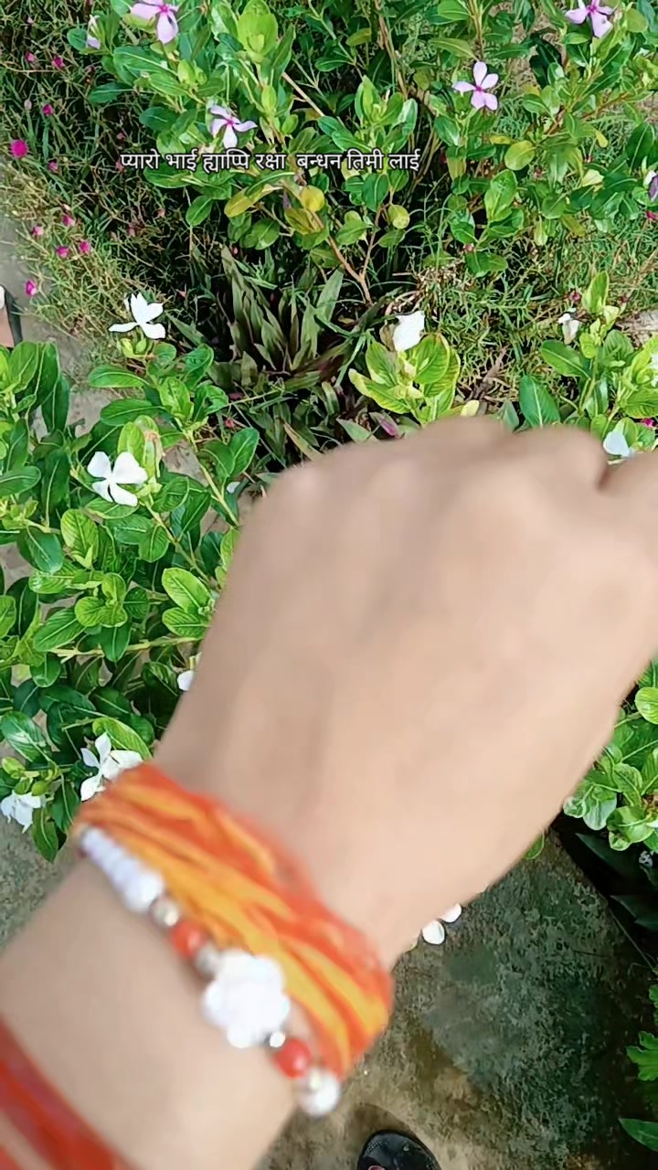 @shreeya Bishwokarma