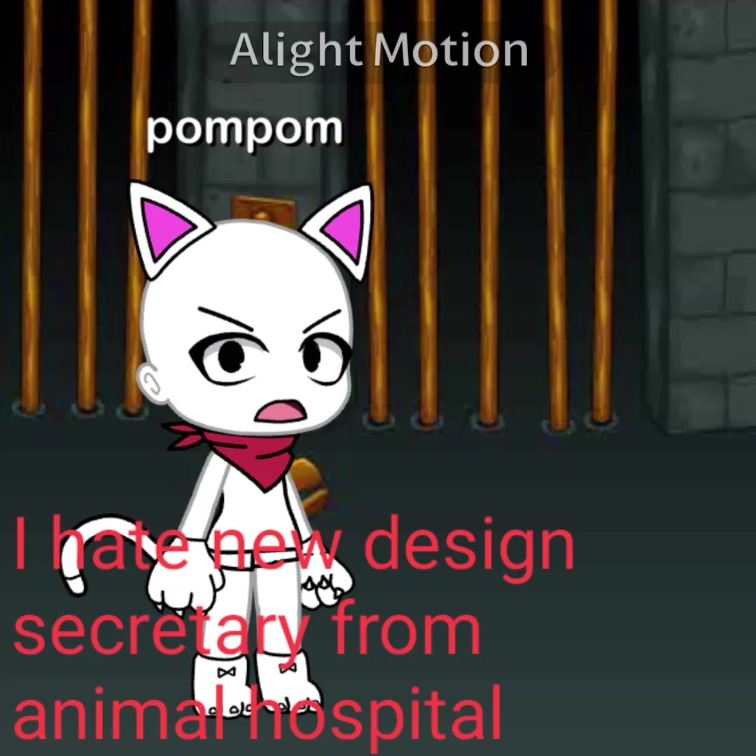 @pompom_cool2