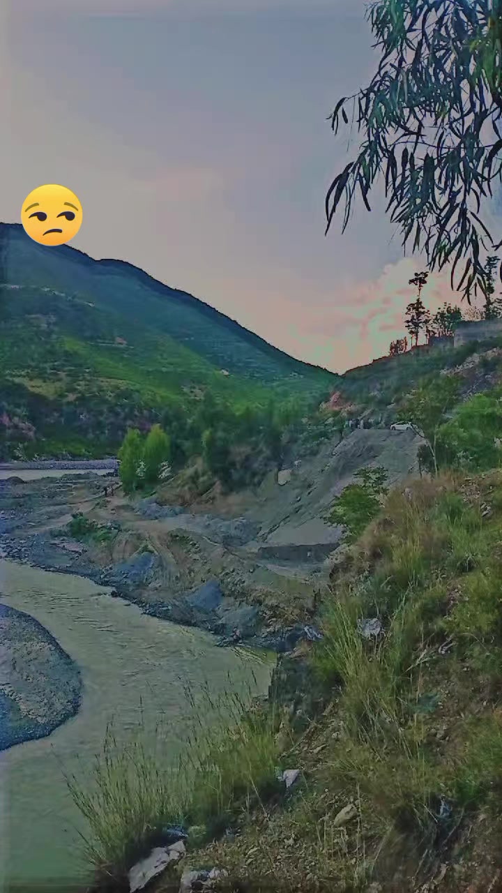 @Gauhar Khan