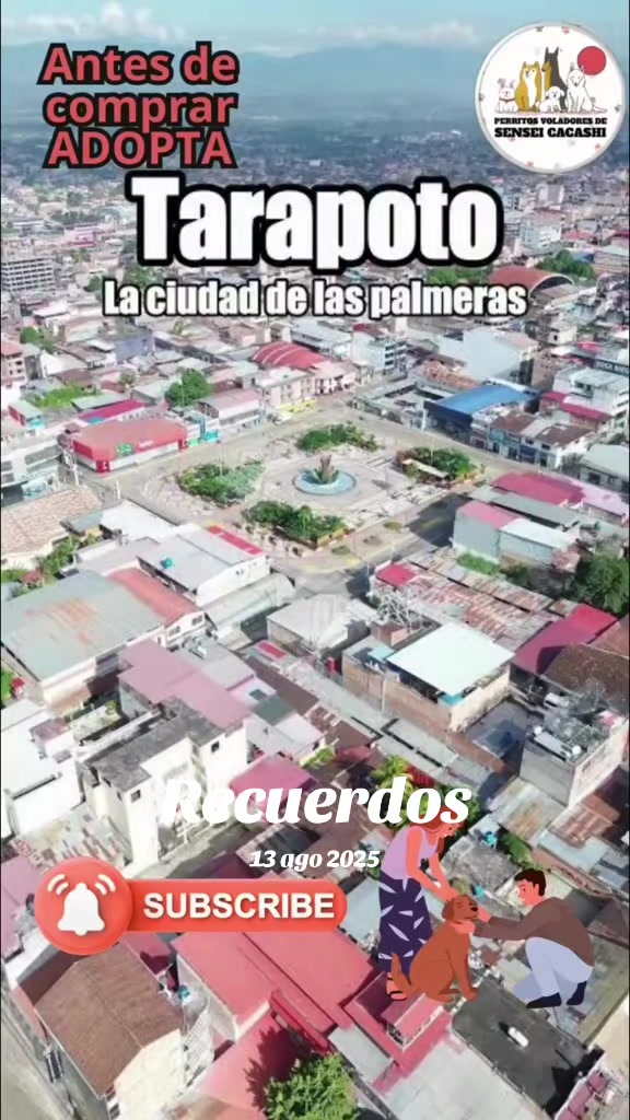 @Perritos Voladores