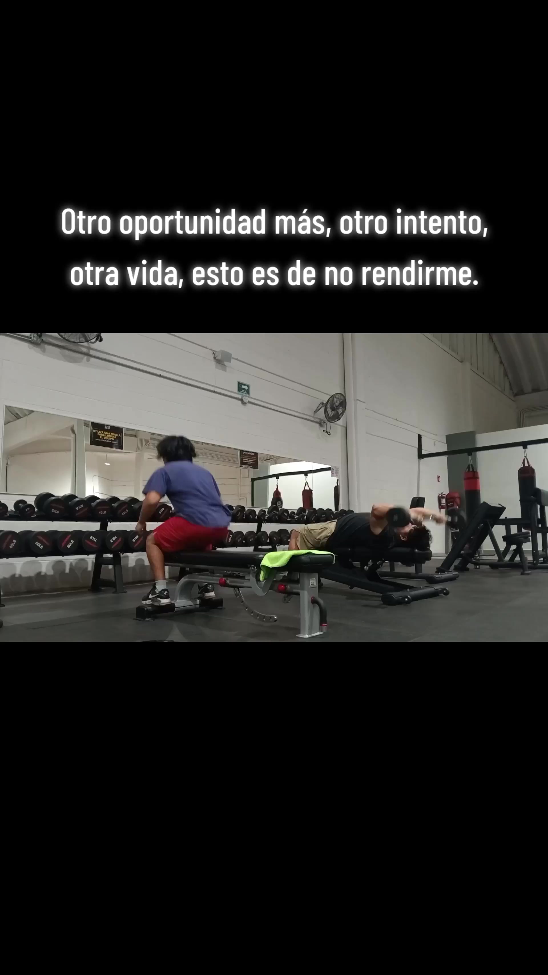 @Marcos D. Reyes