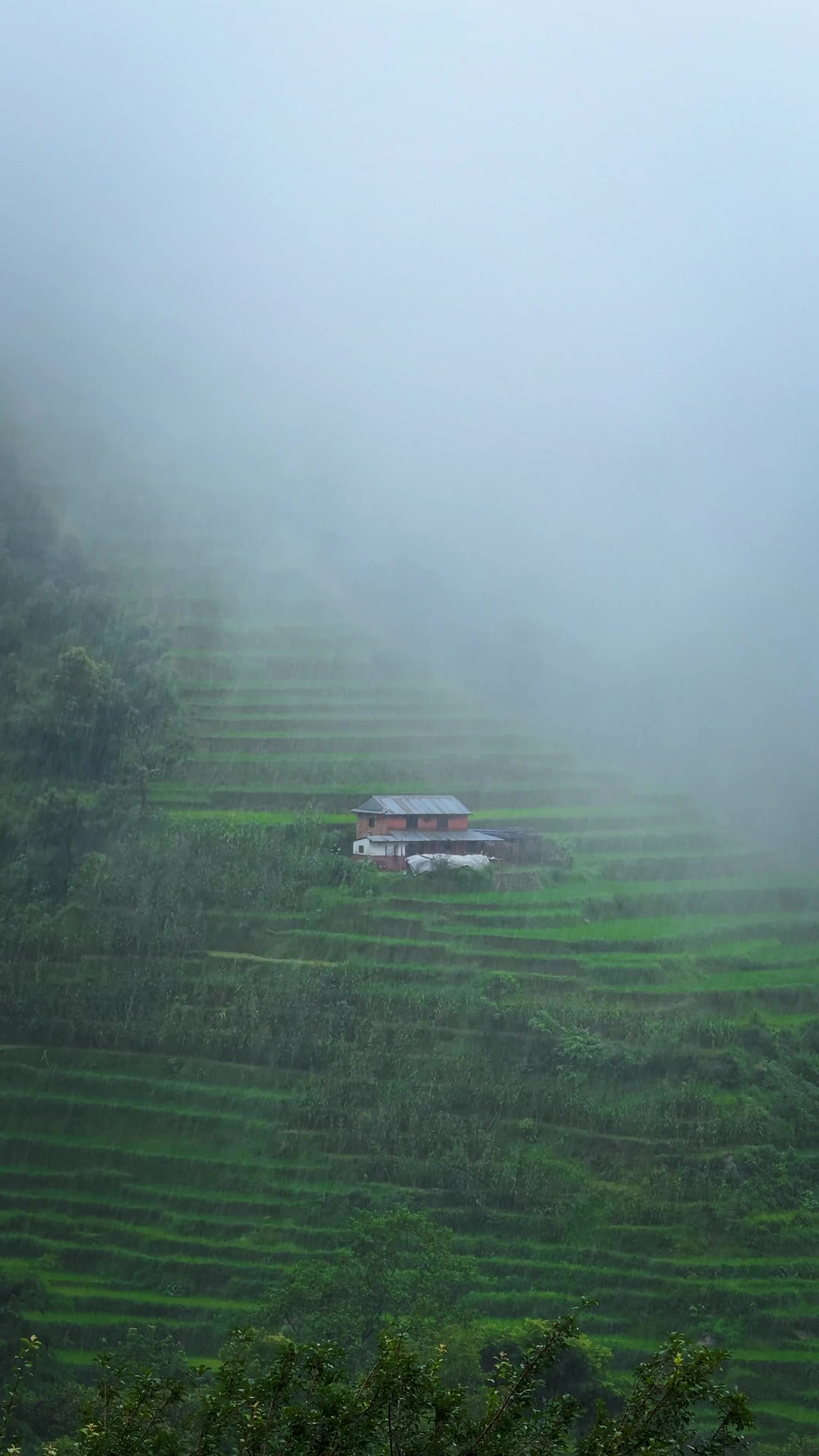 @Sudarshan Neupane