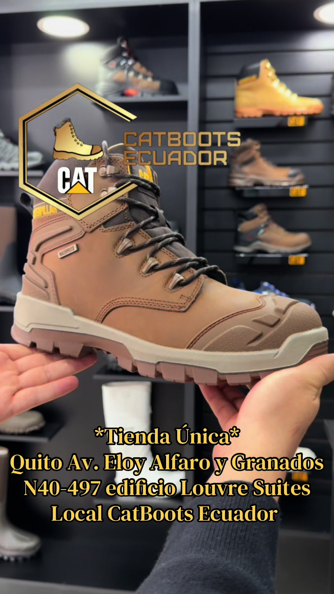 @CatBoots Ecuador 🇪🇨