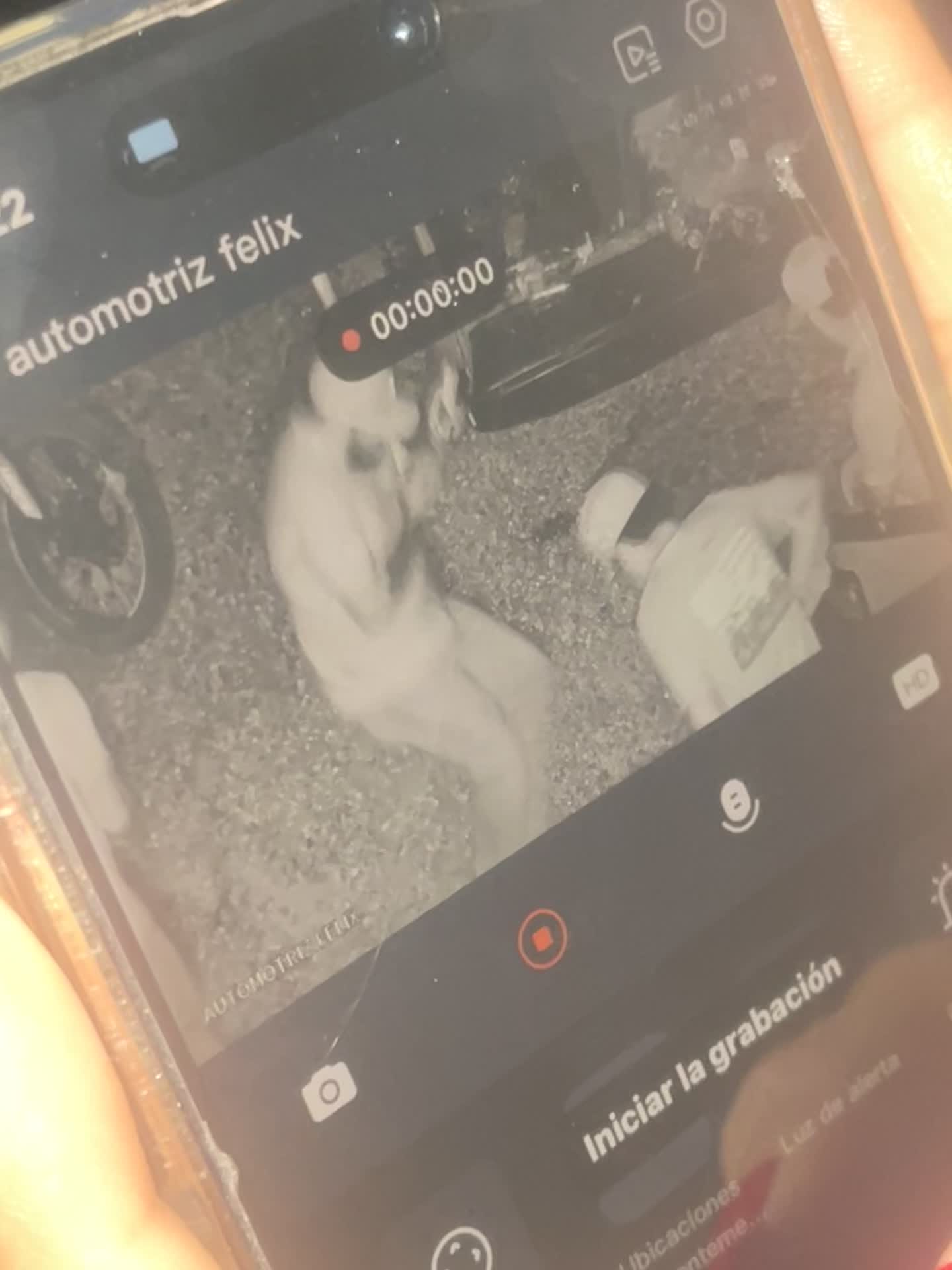 @FELIX..๐๐ผโ๏ธ