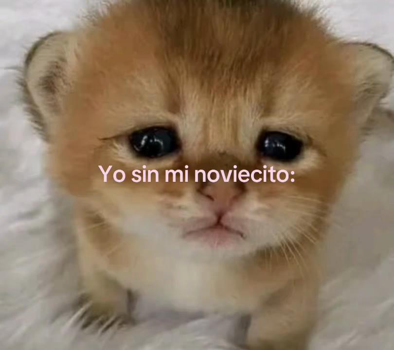 @yramyoliver