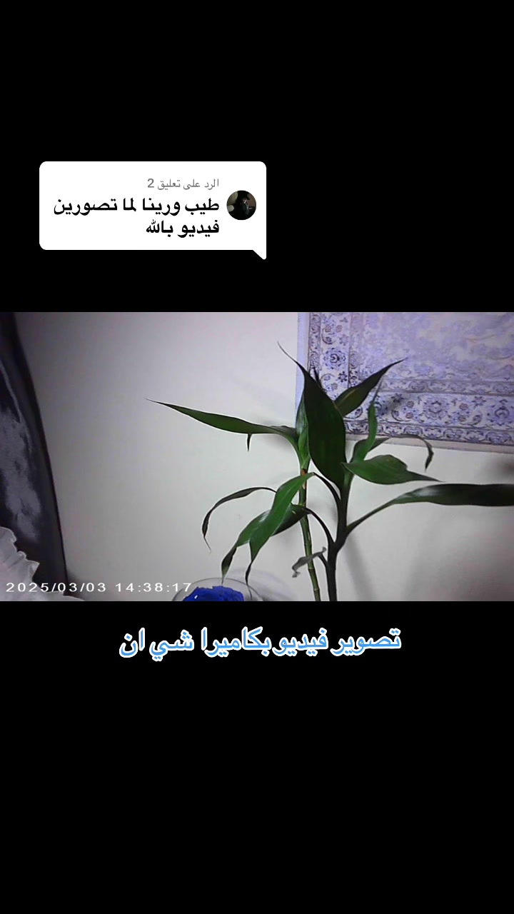 @HANAA ๐ฆ๐ธ