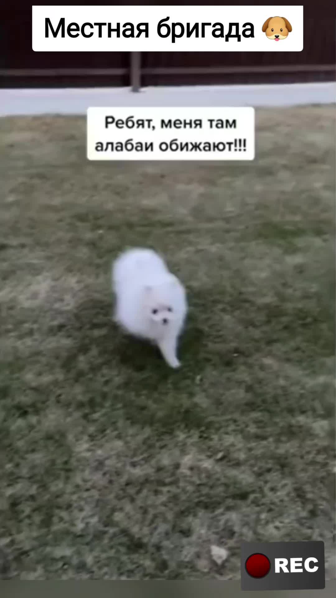 @Лариса