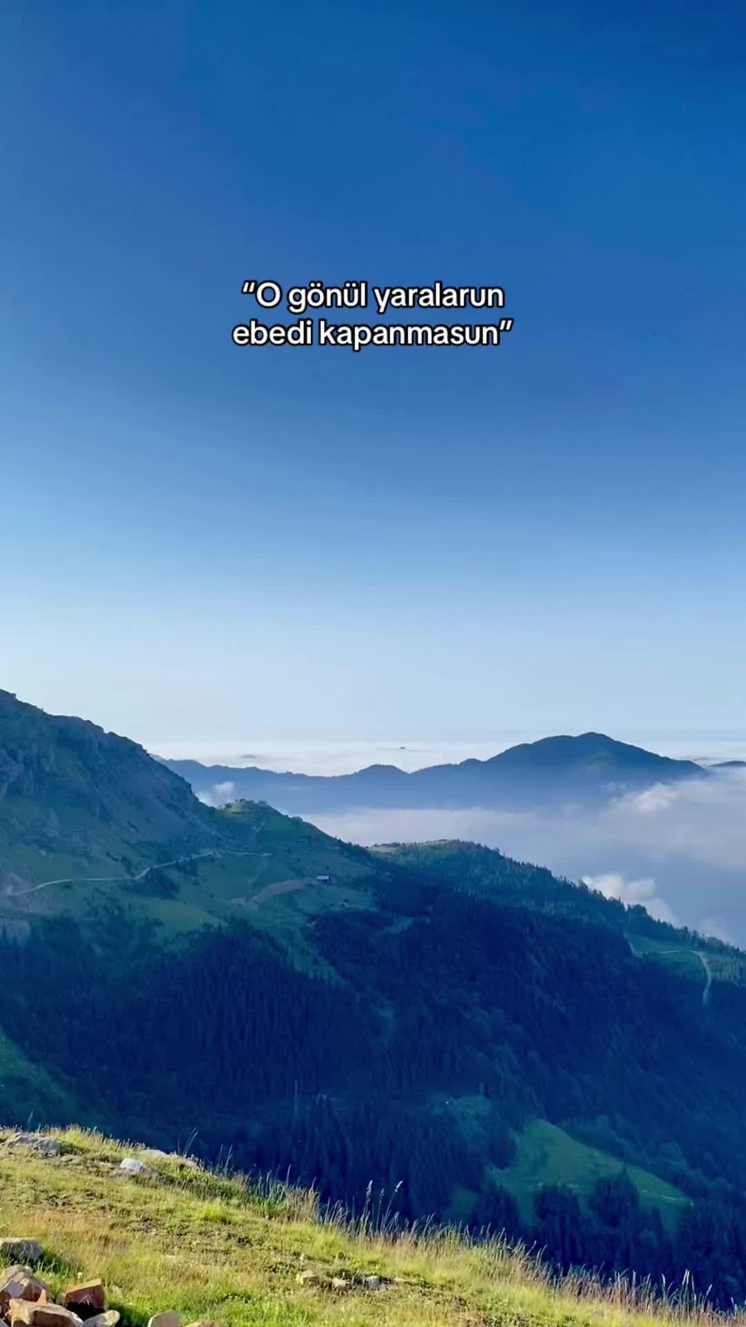 @S✨