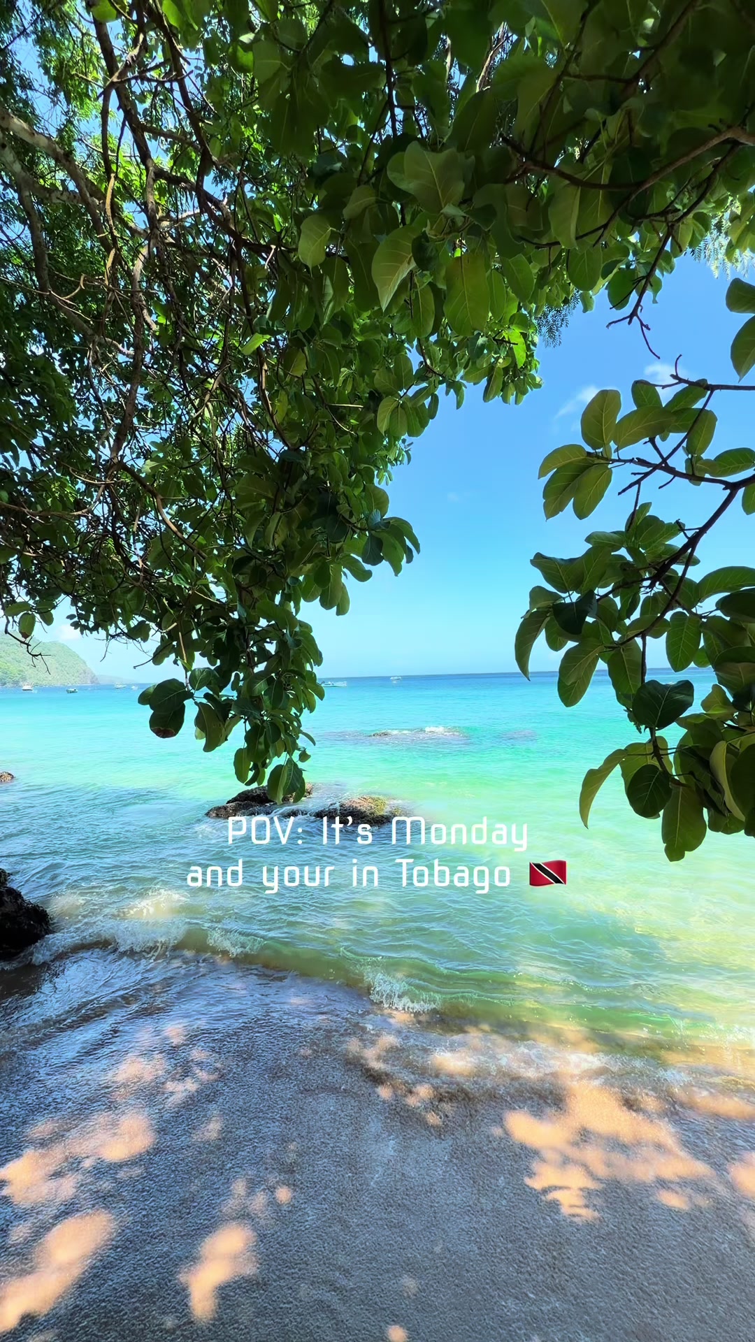 @Trini Surfer&trade;️🇹🇹