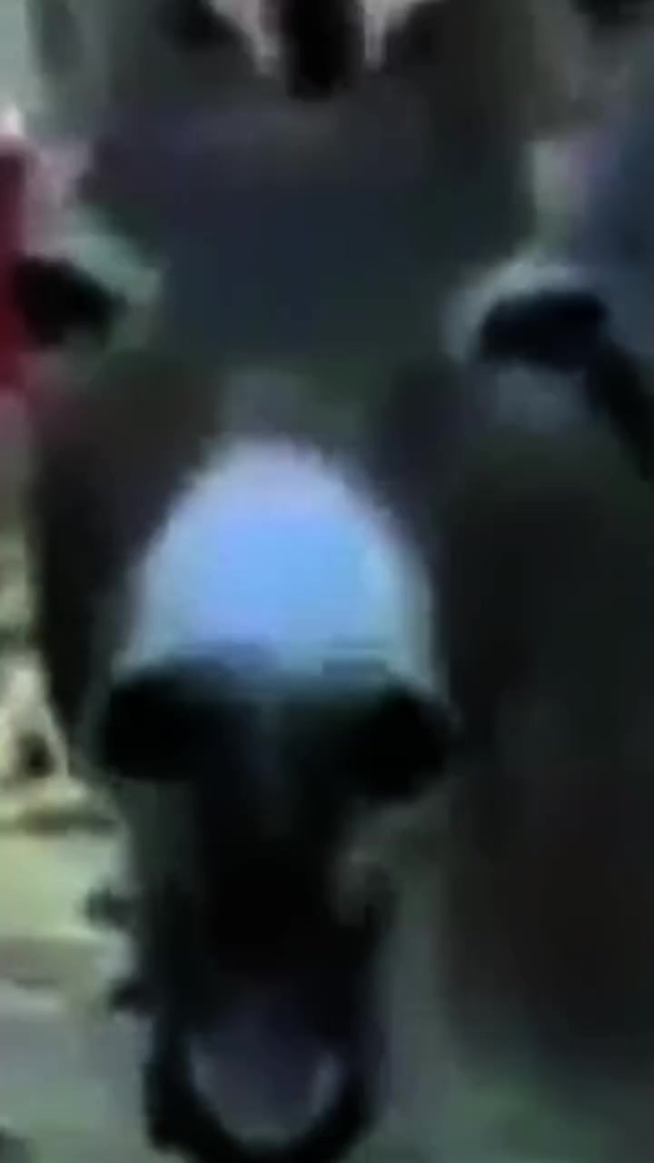 @S̶p̶i̶d̶e̶r̶.̶B̶o̶y̶ ✞🕷🕸