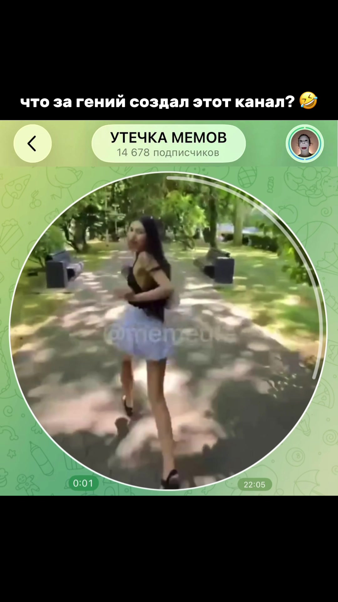 @тгк: memeute