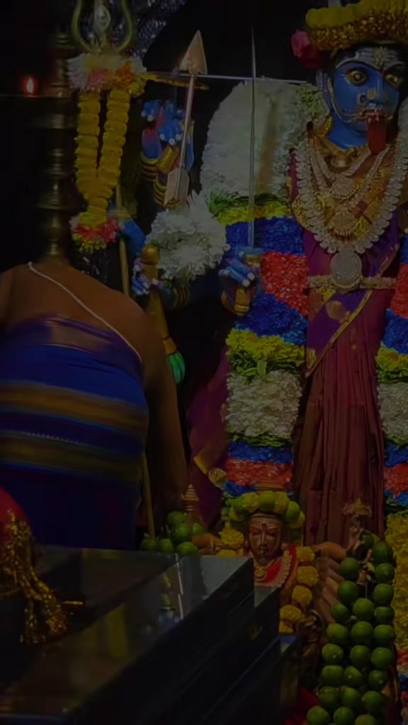 @Mohanraj Sivanesan 👑❤️
