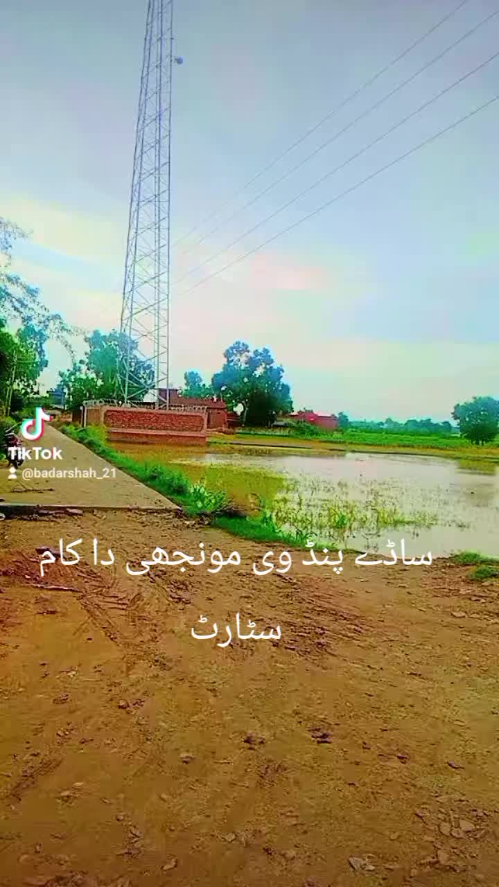 @Shah g