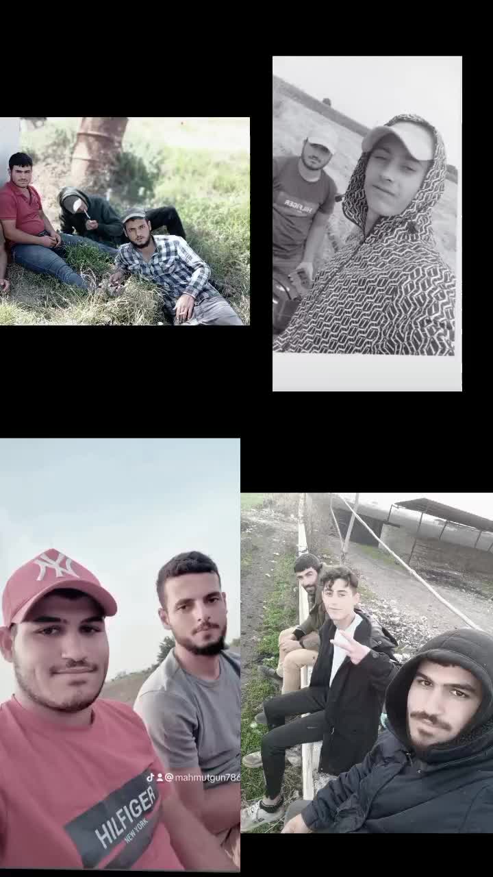 @MAHMUT GÜN