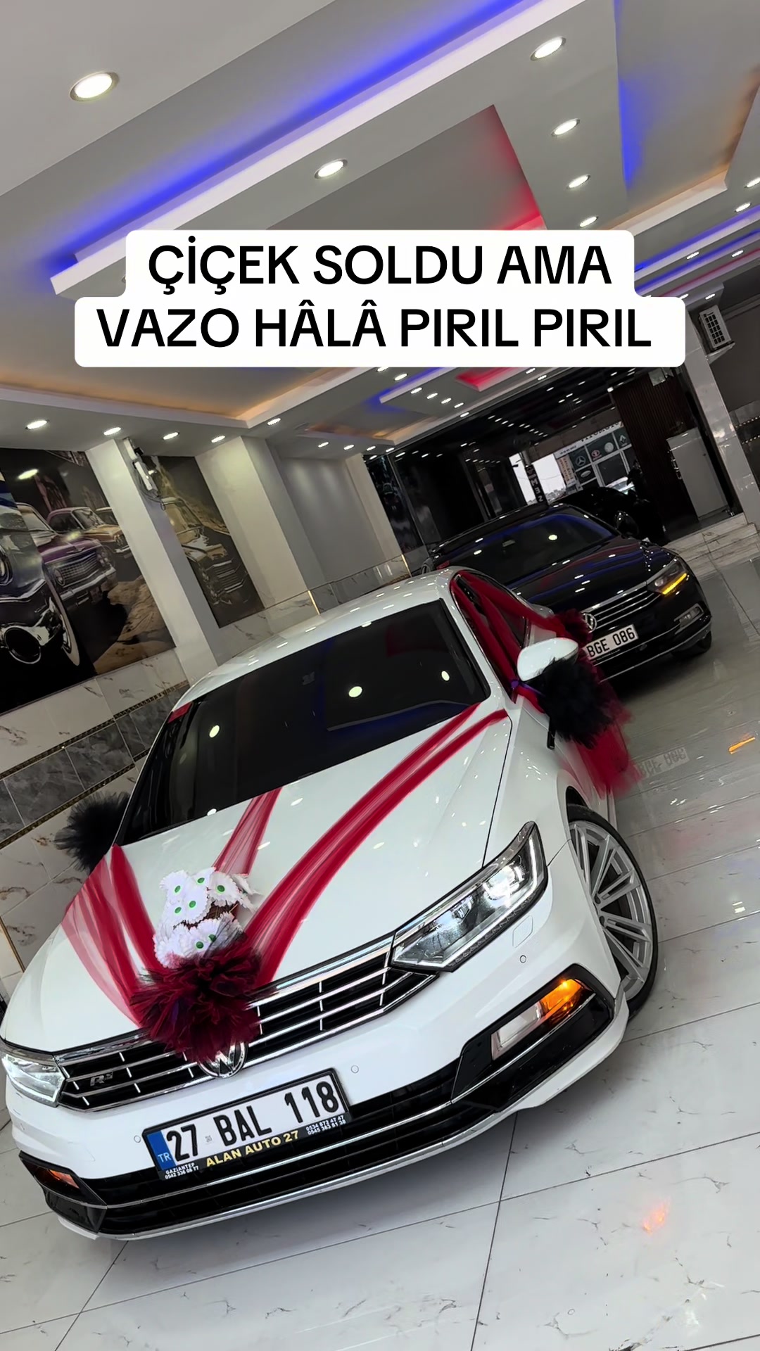 @Mesut YALÇINOĞULLARI